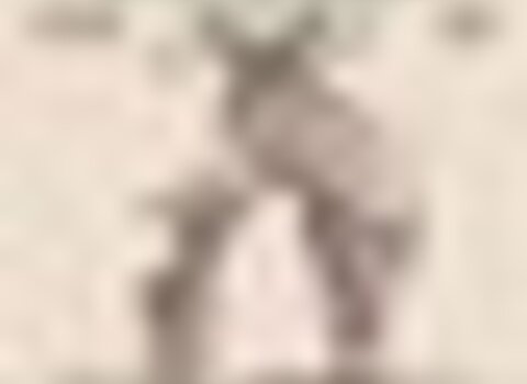 tiny_thumb_feira_naso_2024