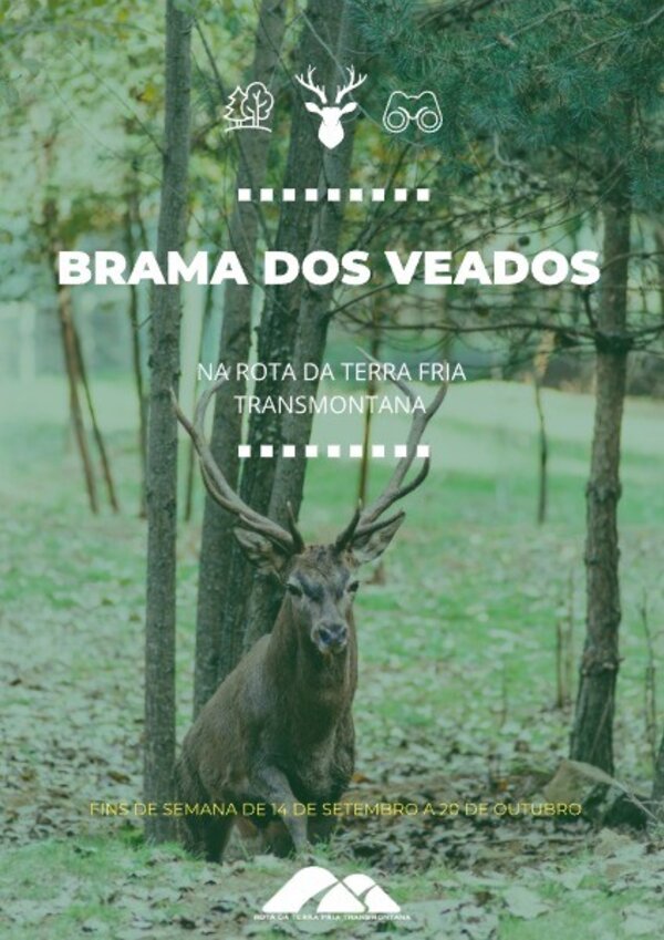 brama_dos_veados_2024_poster