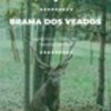 thumb_brama_dos_veados_2024_poster