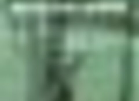 tiny_thumb_brama_dos_veados_2024_poster