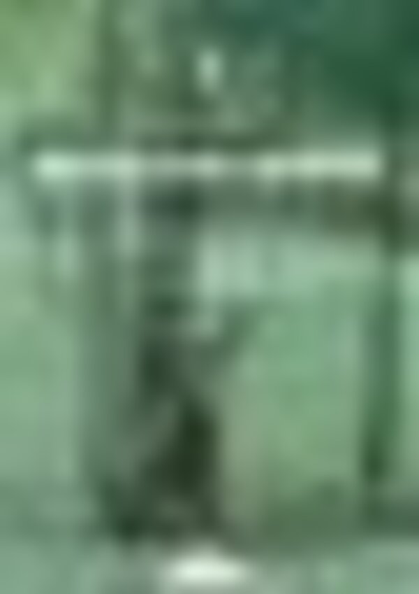 tiny_thumb_brama_dos_veados_2024_poster