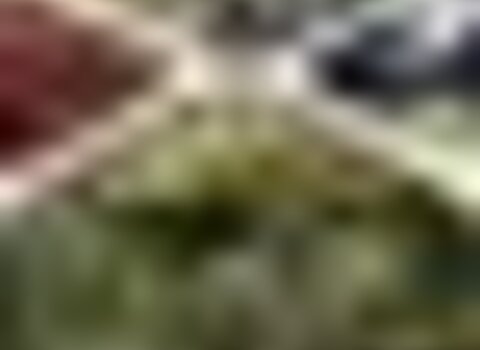 tiny_thumb_01_1_720_2500