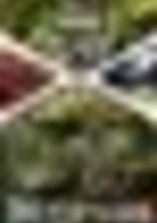 tiny_thumb_01_1_720_2500