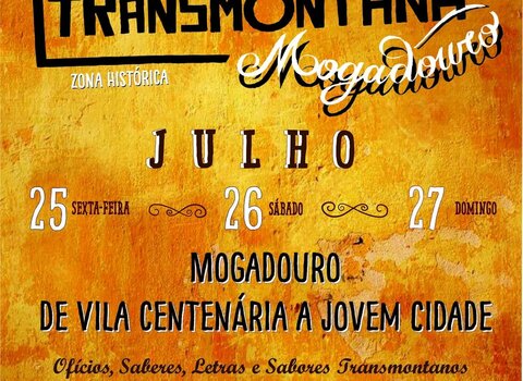 cartaz_ftt_2025___tema_1_980_2500