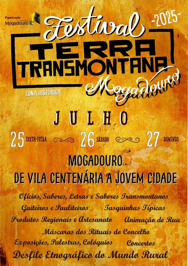 cartaz_ftt_2025___tema_1_980_2500