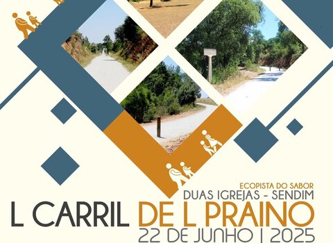cartaz__18__1_980_2500