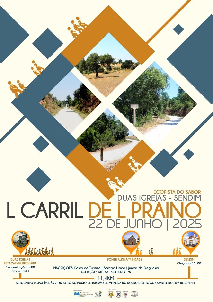 cartaz__18__1_980_2500