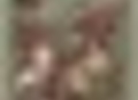 tiny_thumb_festival_d_onor__medium_