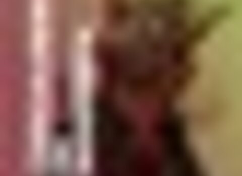 tiny_thumb_chocalheiro_de_bemposta__1_