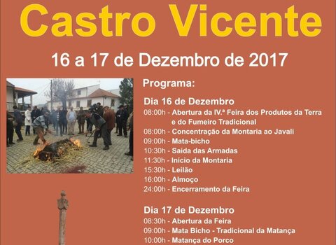 IV_feira_do_bisaro__Medium_