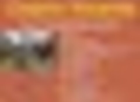 tiny_thumb_IV_feira_do_bisaro__Medium_