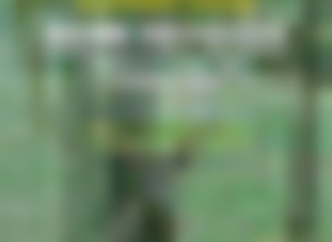 tiny_thumb_Brama_dos_veados_2018_poster