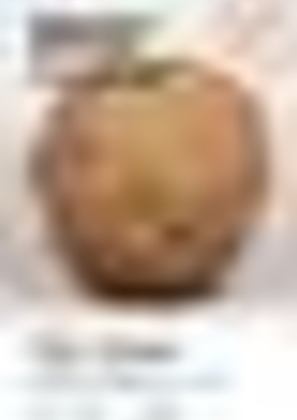 tiny_thumb_gulbenkian