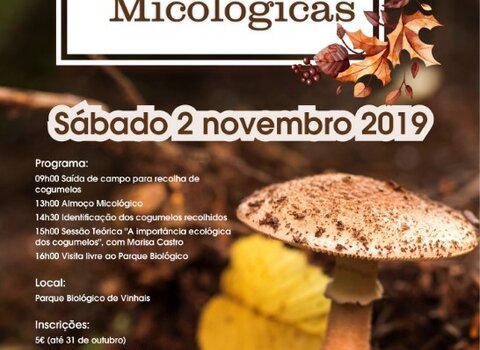 jornadas_micol_gicas__Medium_