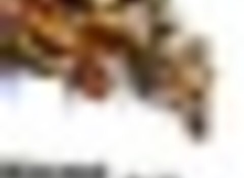 tiny_thumb_exposi__o_am_velAnt_o