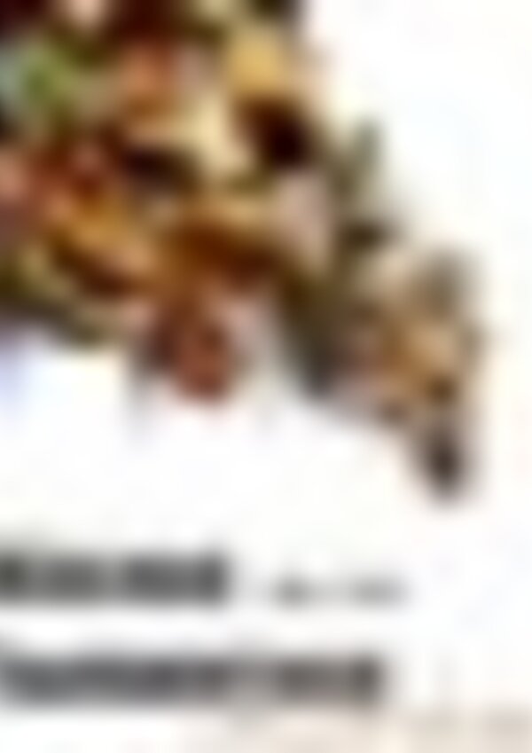 tiny_thumb_exposi__o_am_velAnt_o