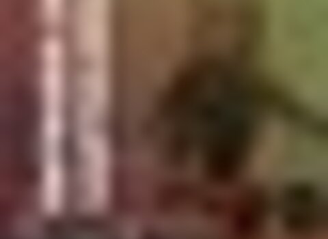 tiny_thumb_Entrudo_santulh_o