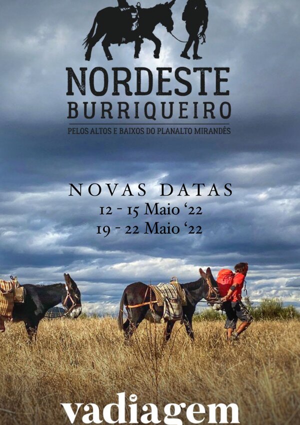 nordeste_burriqueiro