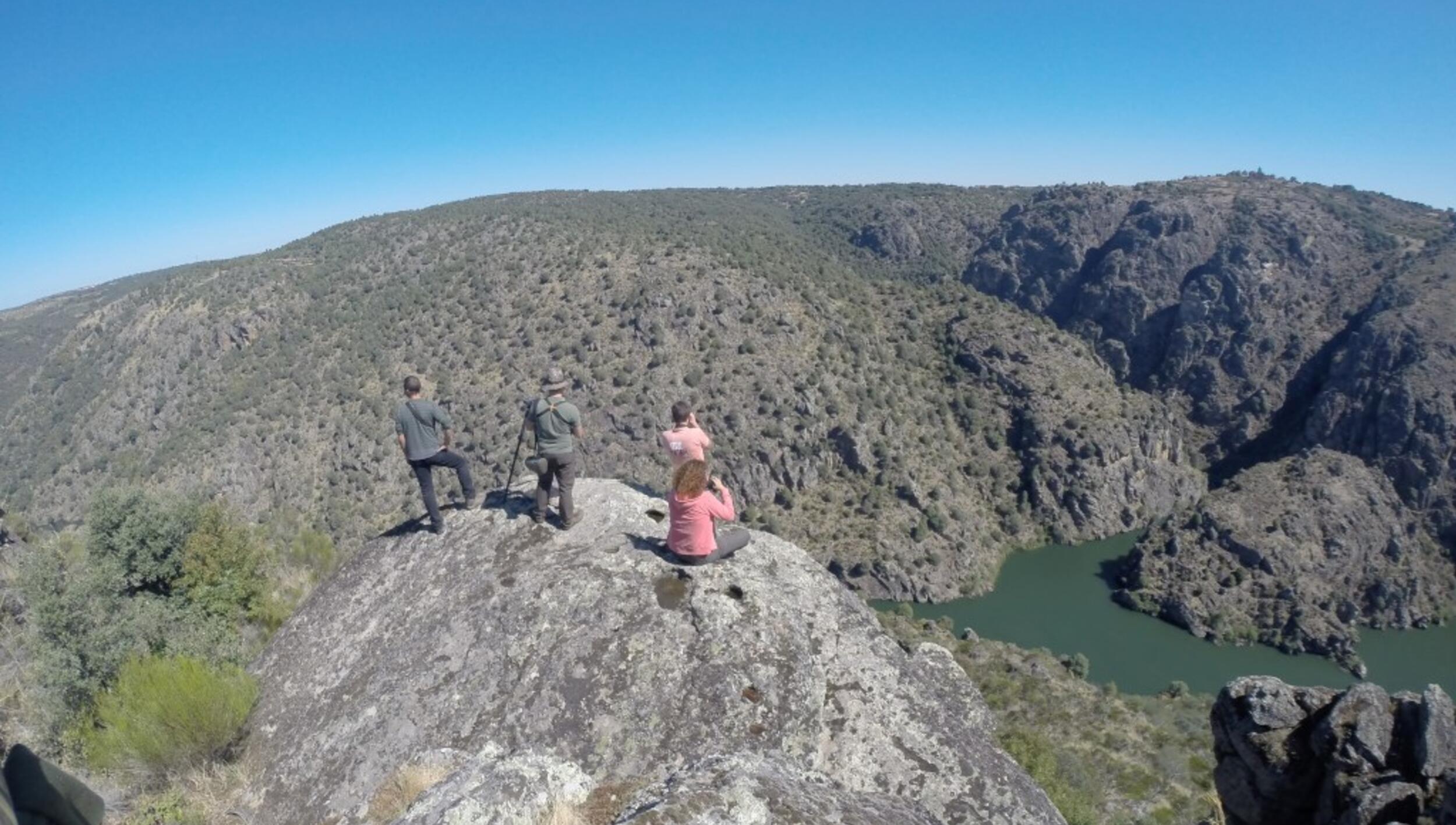 Birdwatching no miradouro da orelha