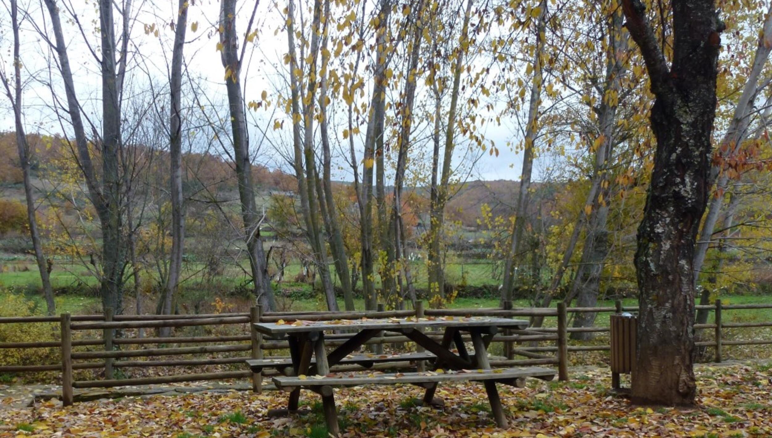 Parque de Merendas de Rio de Onor