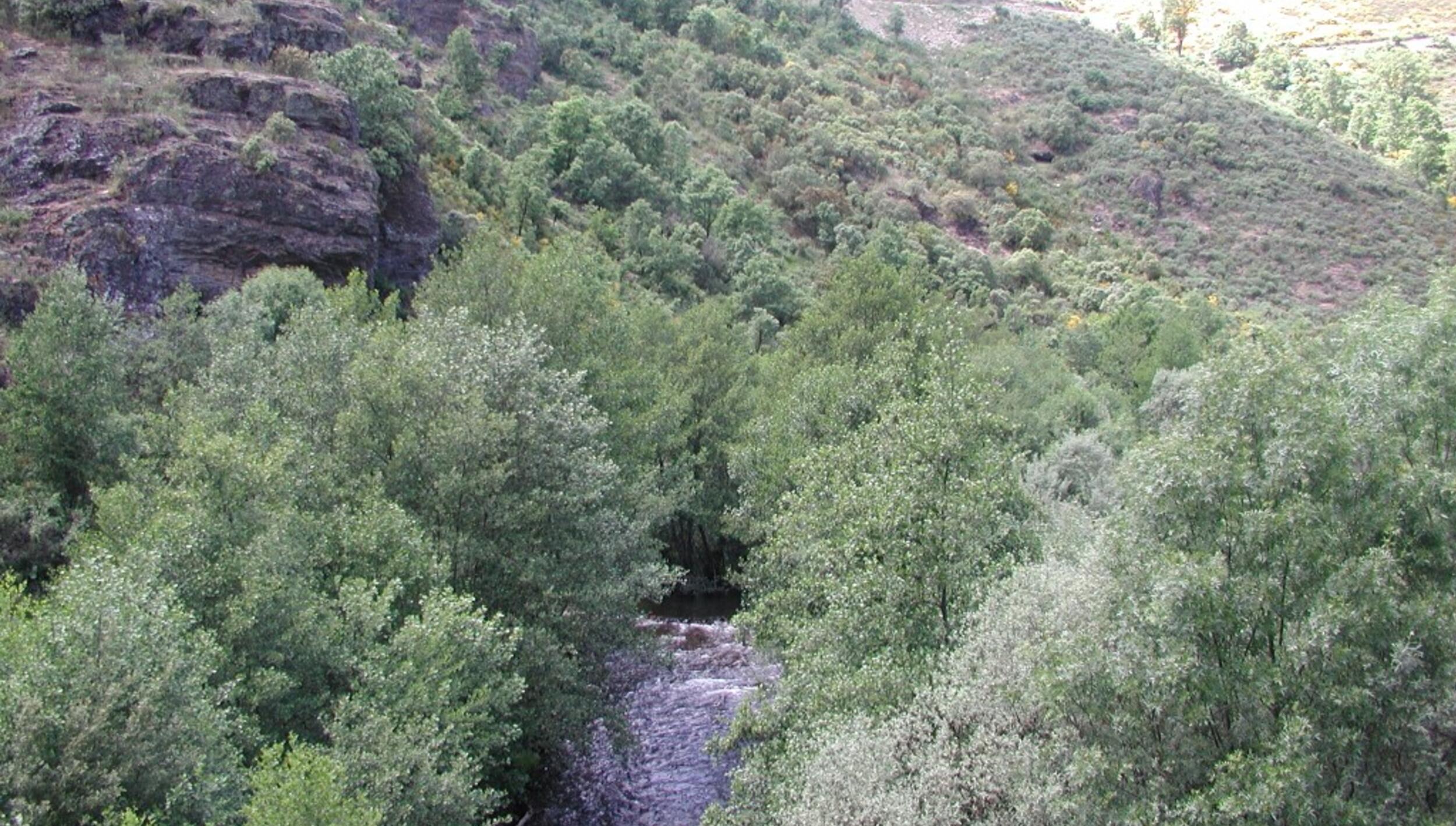 Vista a jusante da Ponte