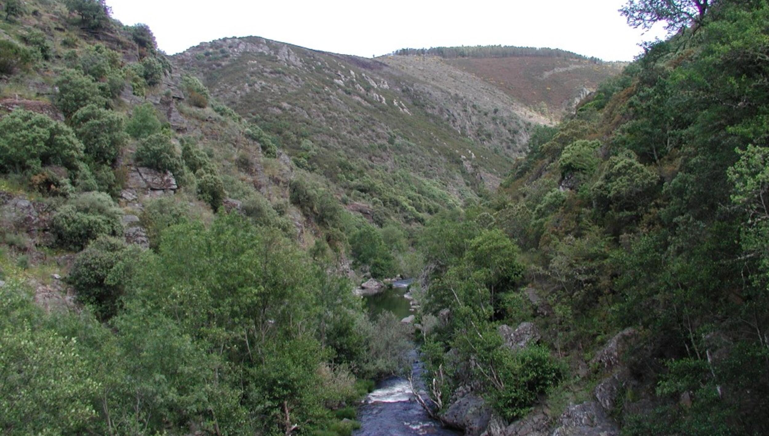 Vista a montante da Ponte