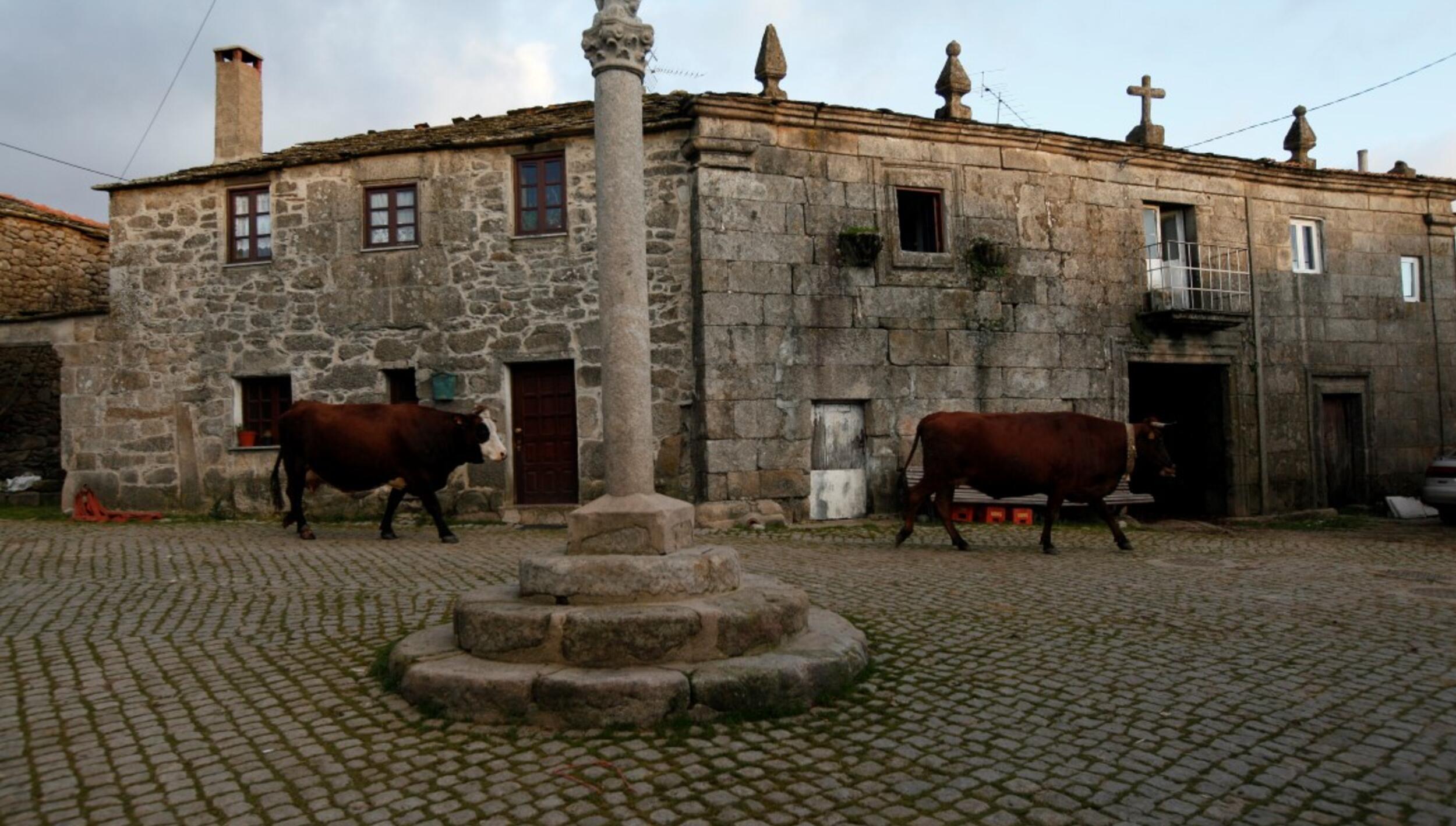 Largo do Cruzeiro em Pinheiro Novo