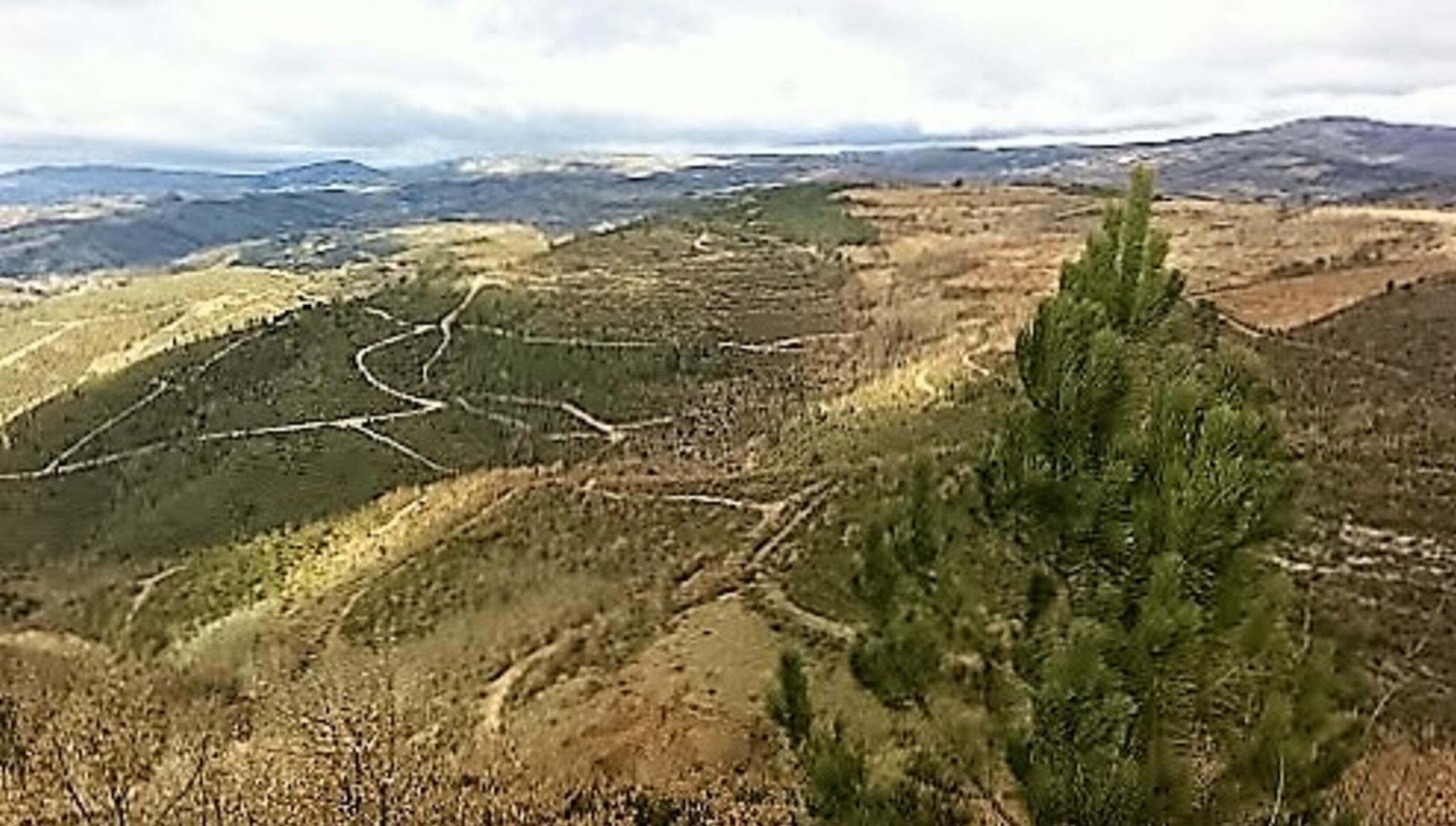 Miradouro do Monte da Forca