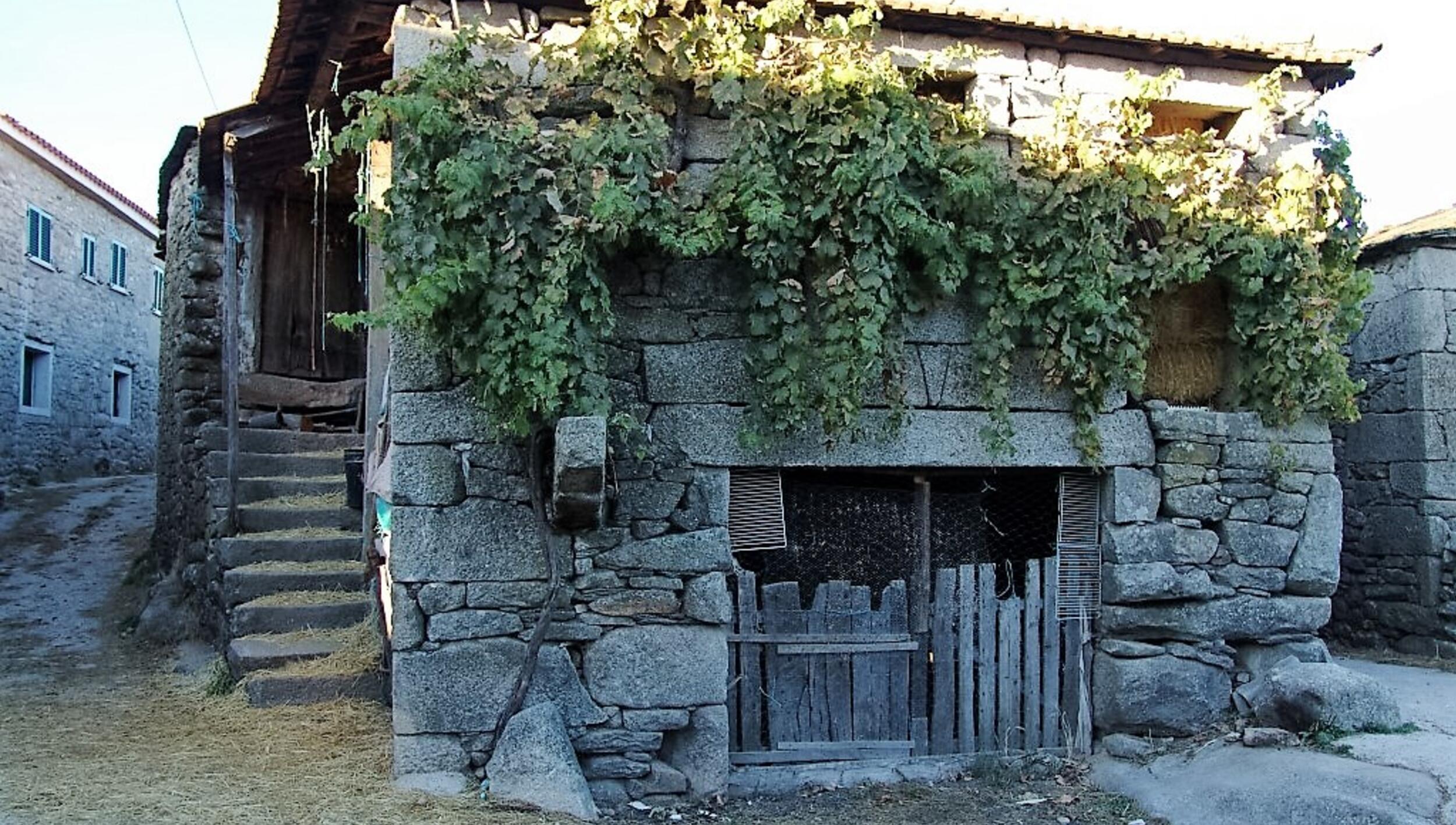 Casa típica