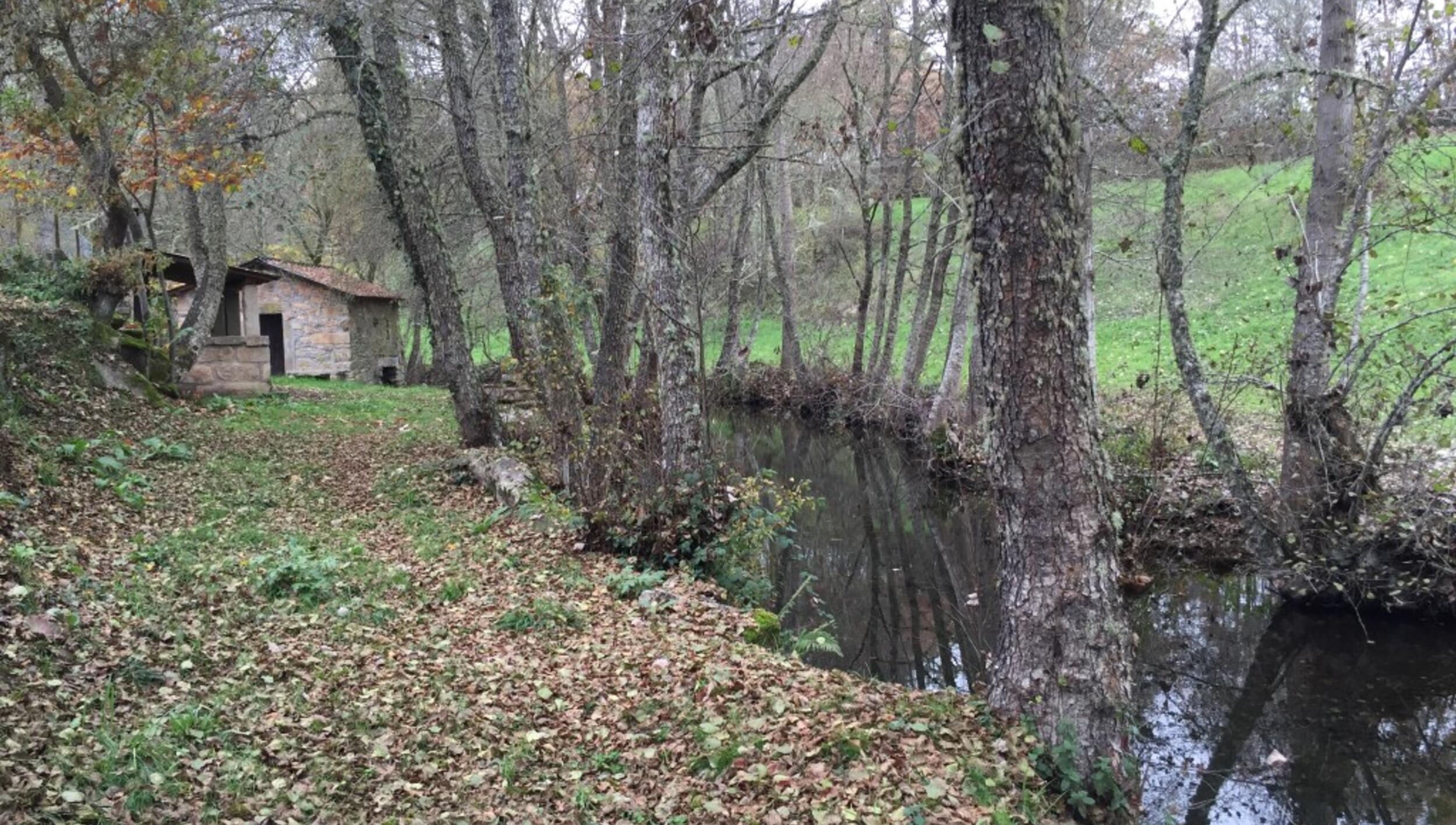 Ribeira de Remisquedo