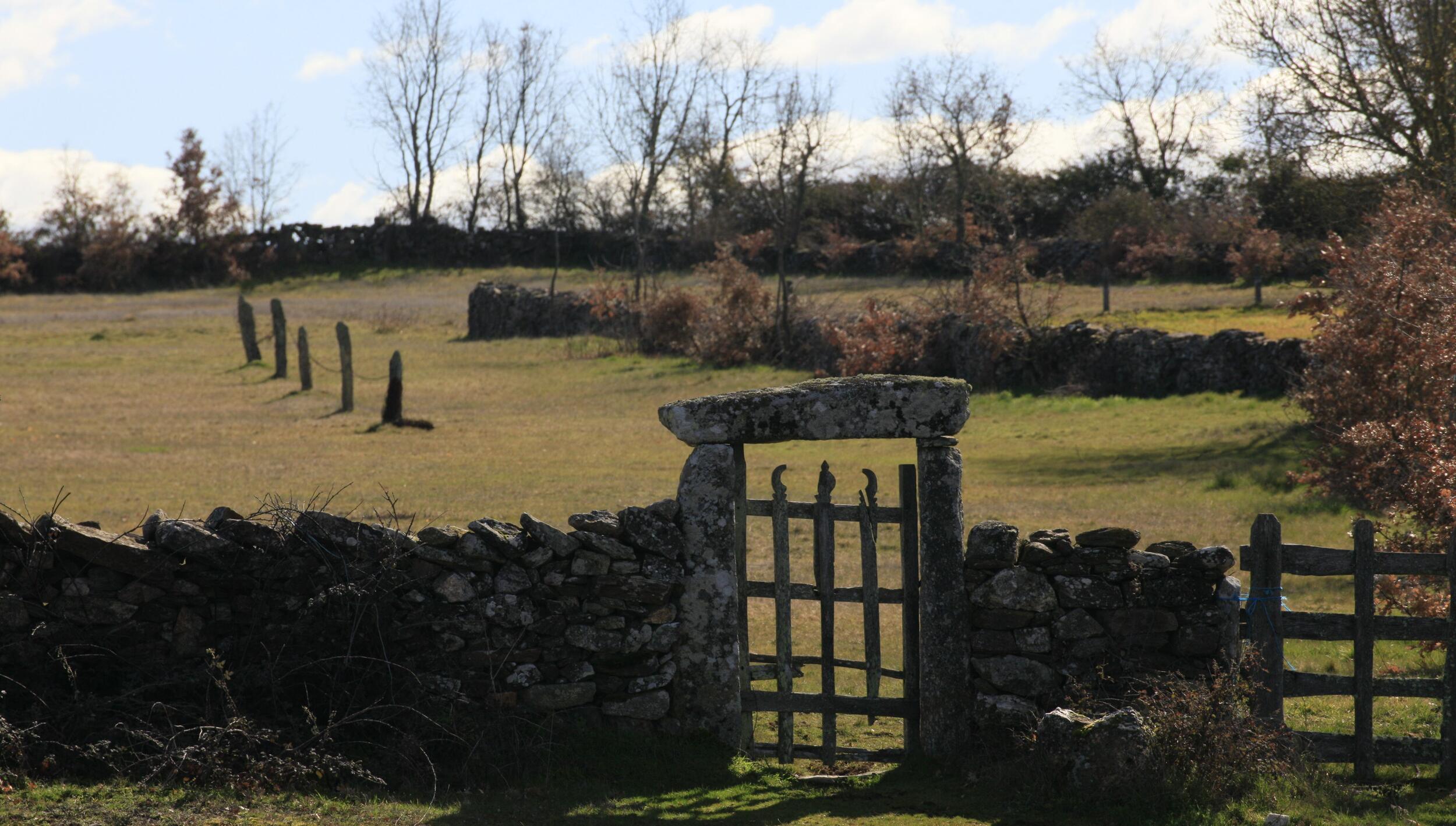 Entrada de propriedade