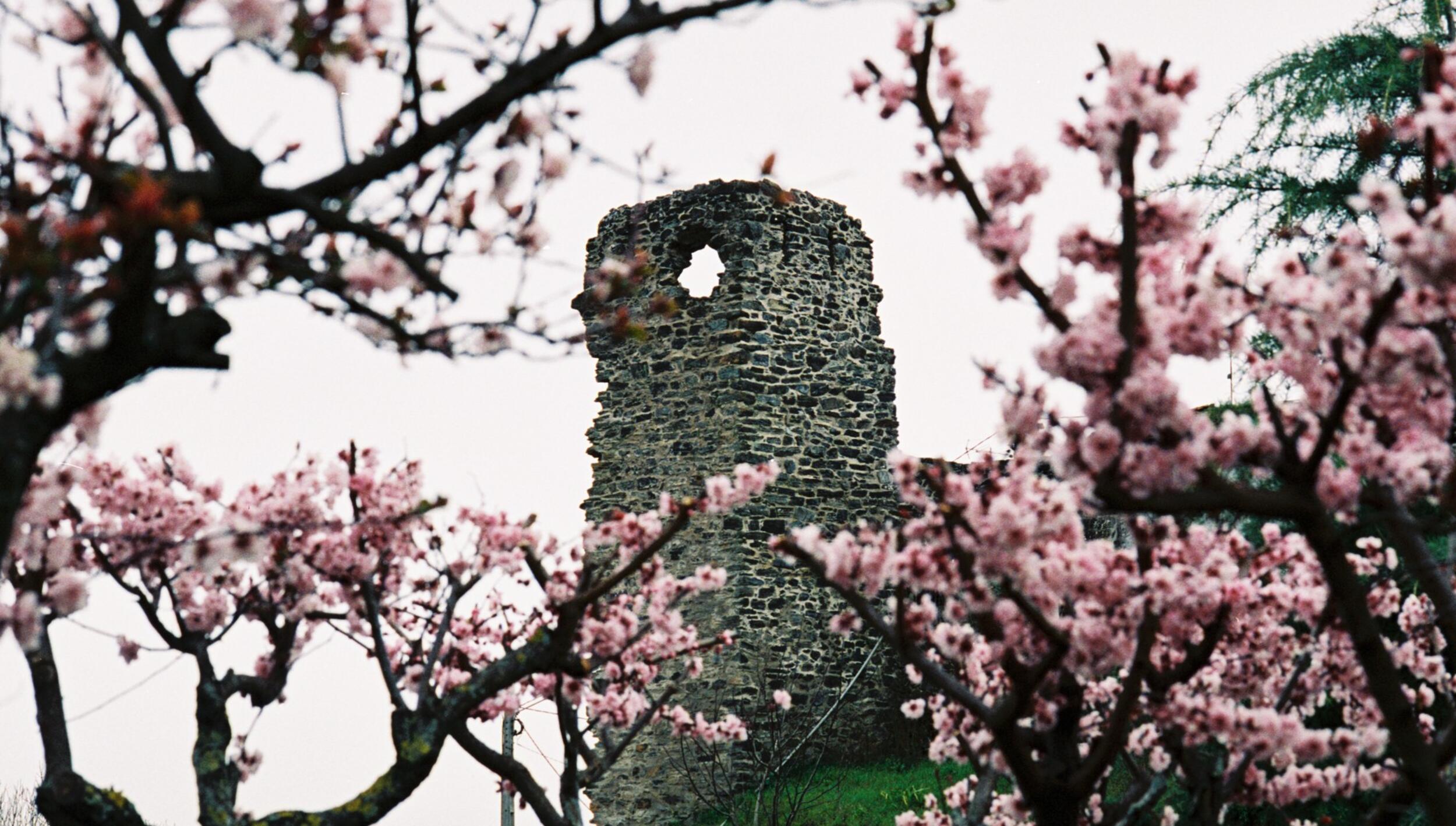 Castelo de Vinhais