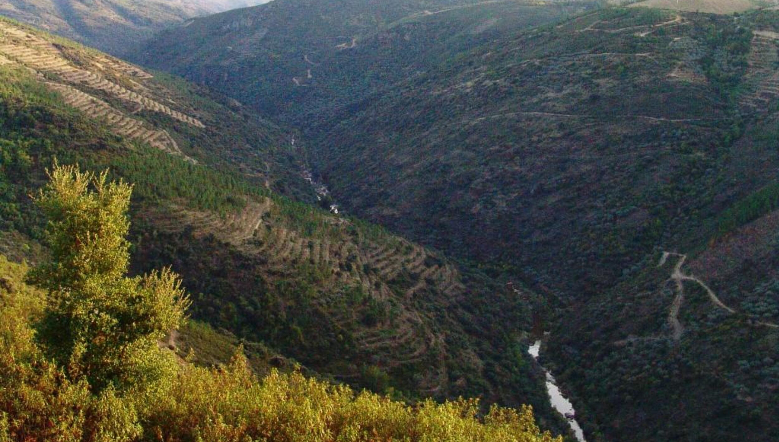 Vista do Vale do rio Sabor