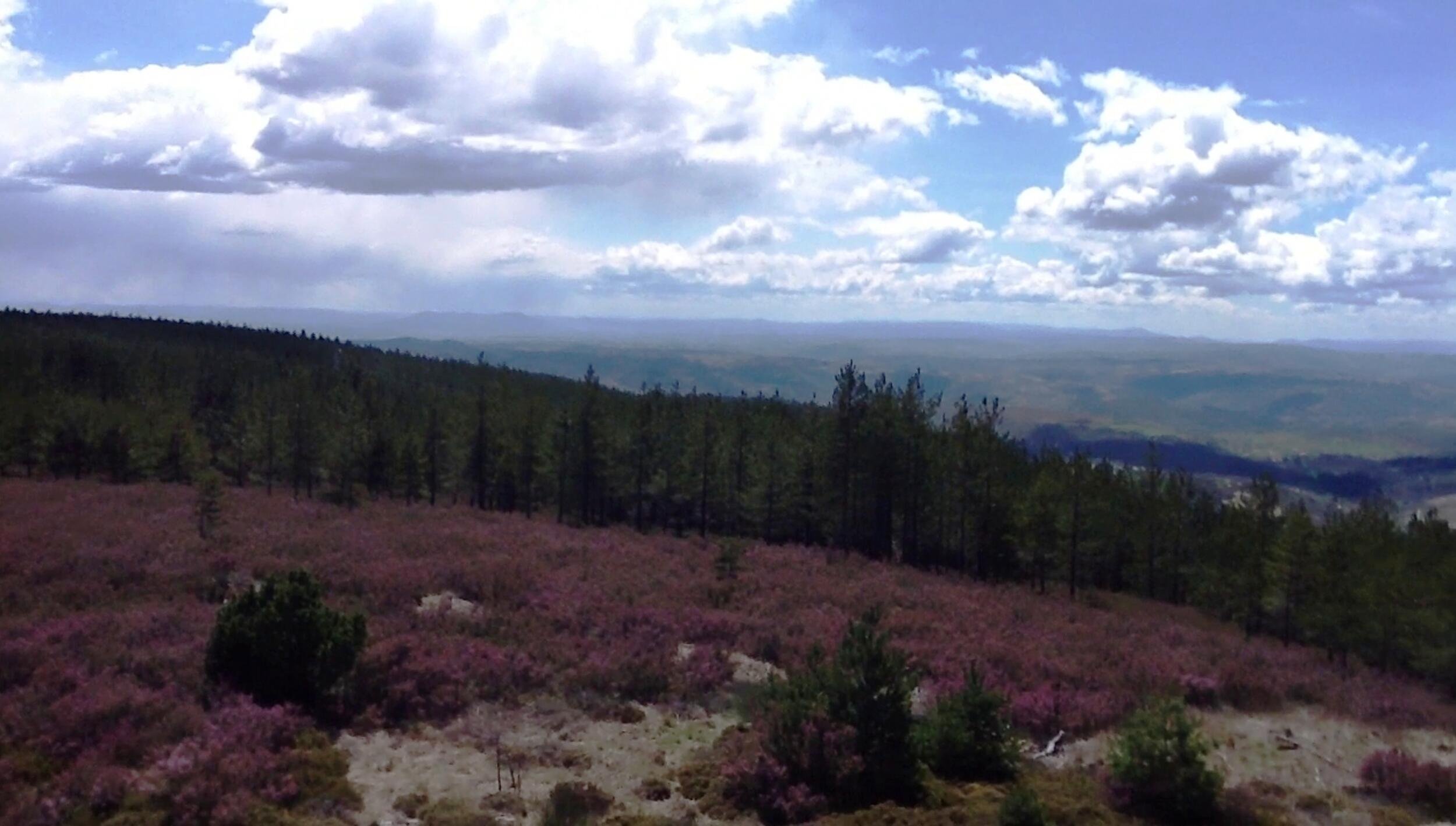 Vista desde a Serra da Coroa