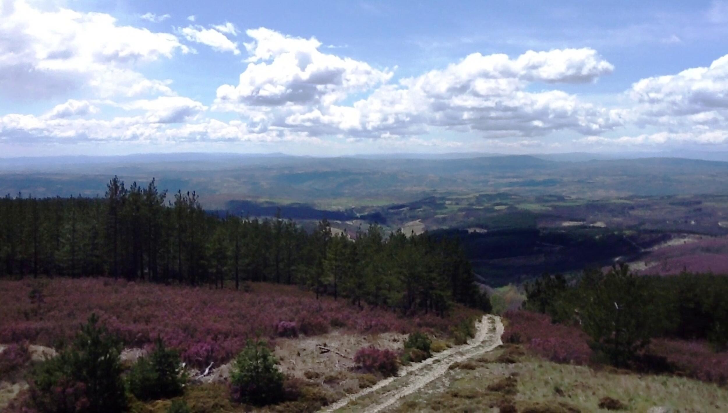 Vista desde a Serra da Coroa