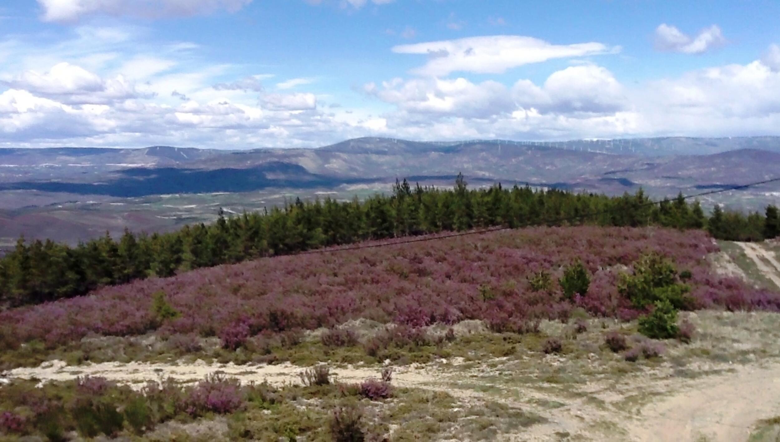 Vista desde a Serra da Coroa