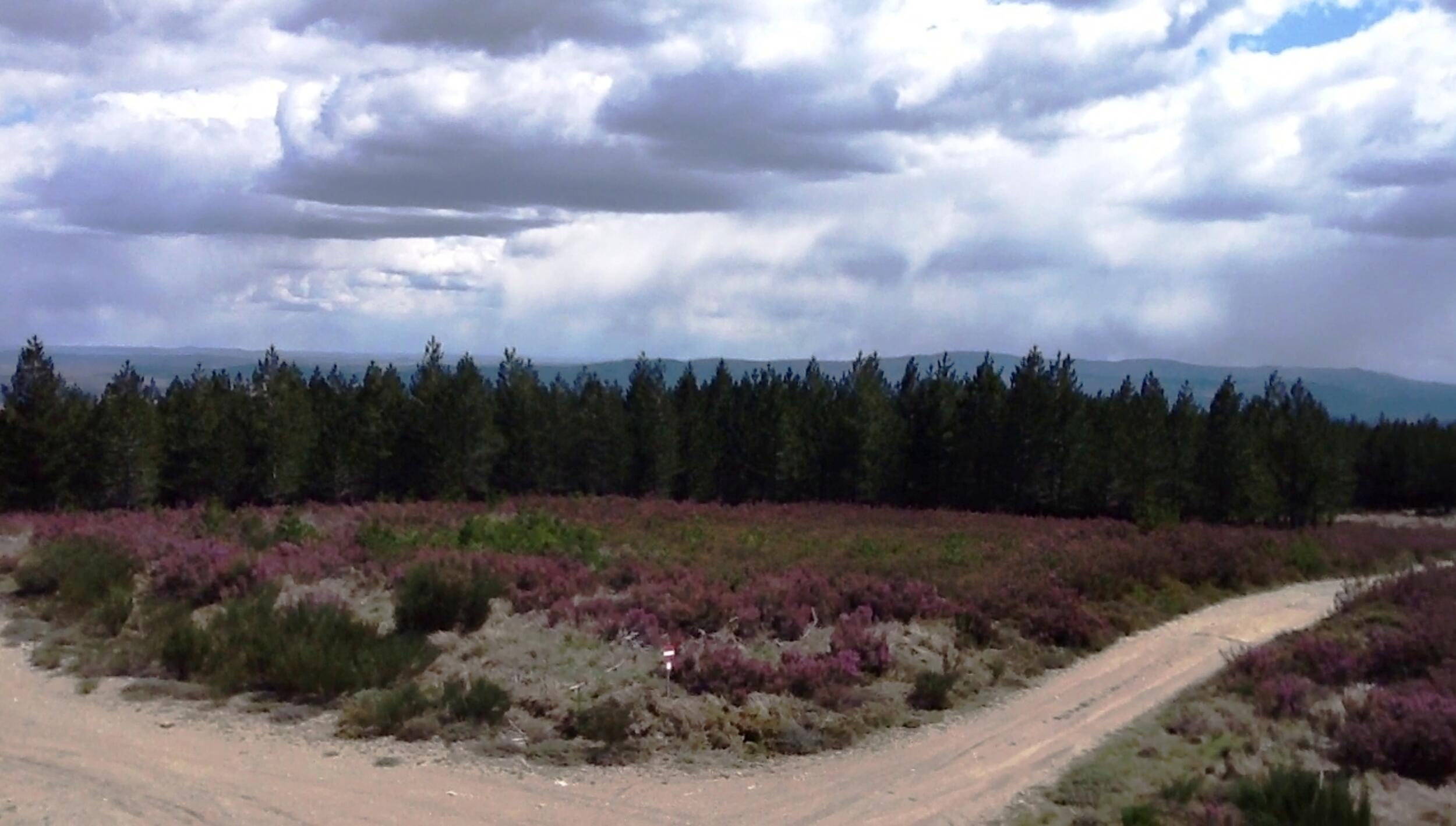 Vista desde a Serra da Coroa