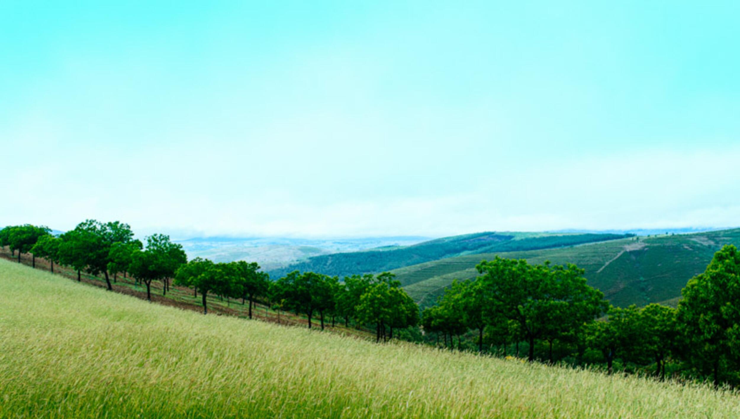 Paisagem e vistas