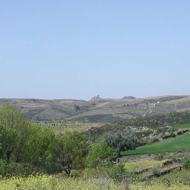 Vista de mora do castelo algoso