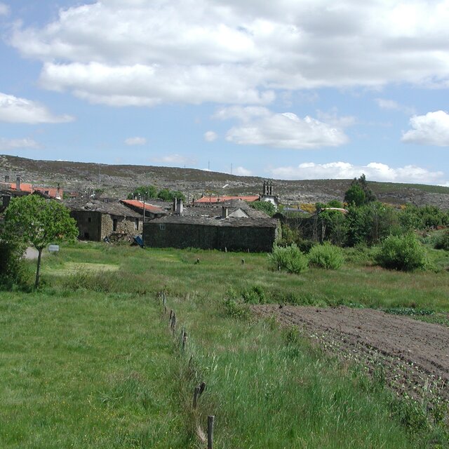 Vista pinhei novo