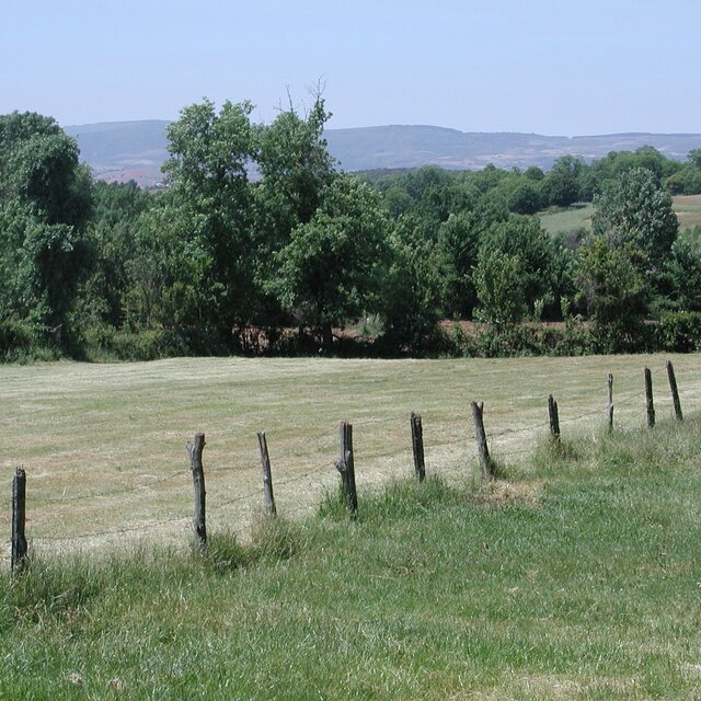 Lameiro entre rabal e baçal