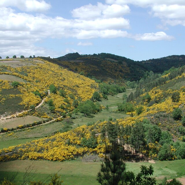 Paisagem entre s cima cabecadeigreja