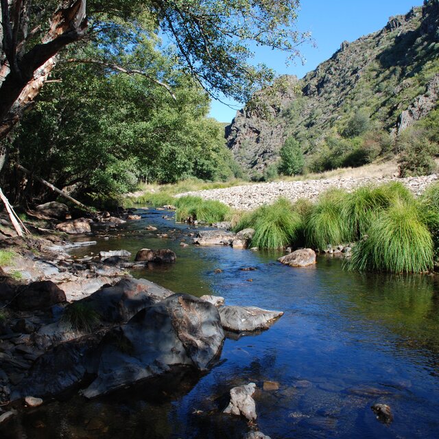 Rio maçãs