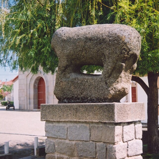 Picote - berrão de picote