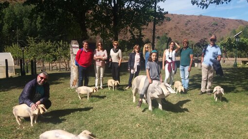 Quinta do Bísaro