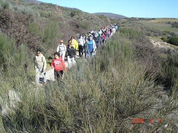 Passeio Pedestre