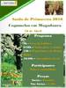 thumb_saida_de_primavera_16_DE_ABRIL