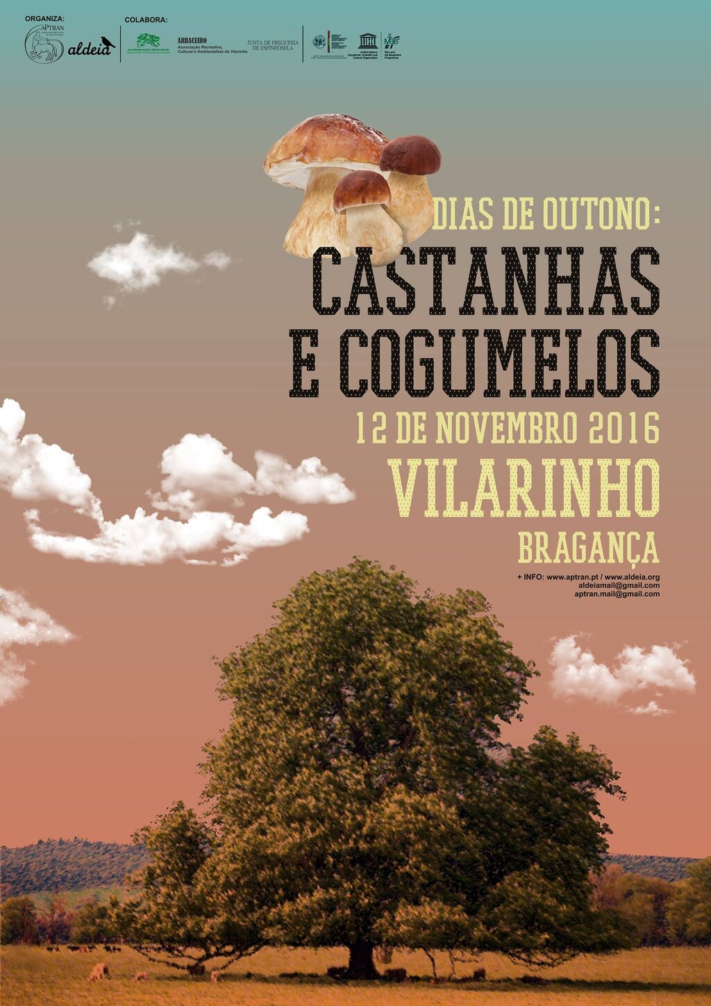 Dias de Outono: Castanhas e Cogumelos