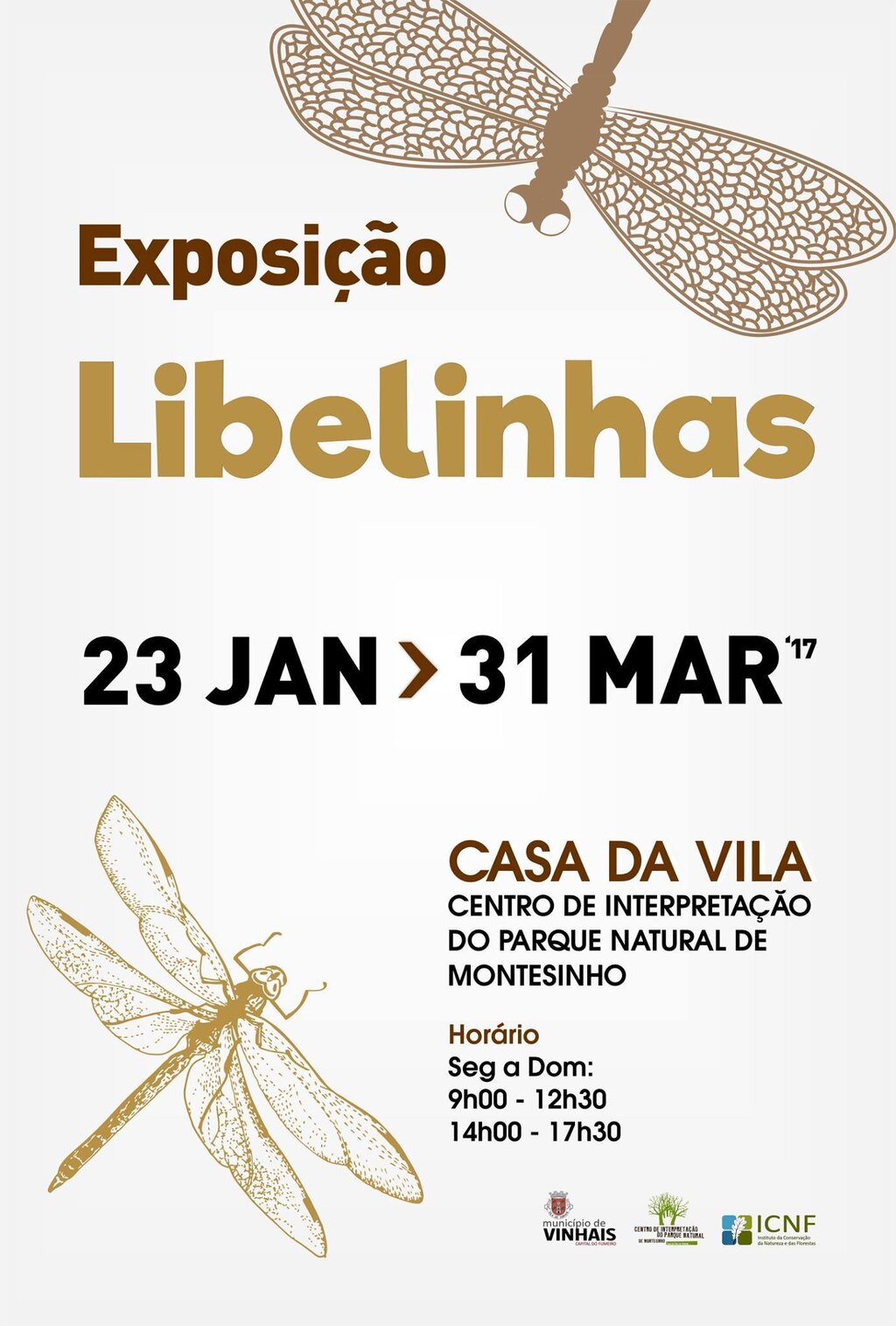 Exposição Libelinhas