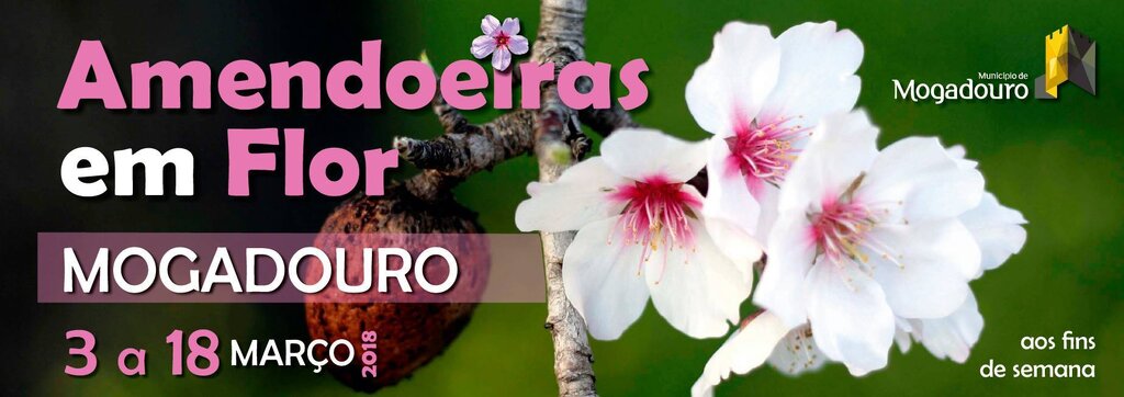 Festividades das Amendoeiras em Flor